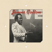James Cotton - Juke (Live)