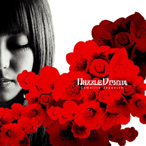 dazzle vision camellia japonica album