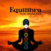 Equilibra Tus Chakras - 7 Chakras de Apertura, Ayurveda, Reiki Zen, Meditación album lyrics, reviews, download