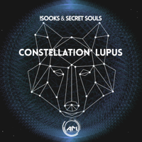 Sooks & Secret Souls - Constellation Lupus artwork