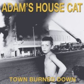 Adam's House Cat - Runaway Train