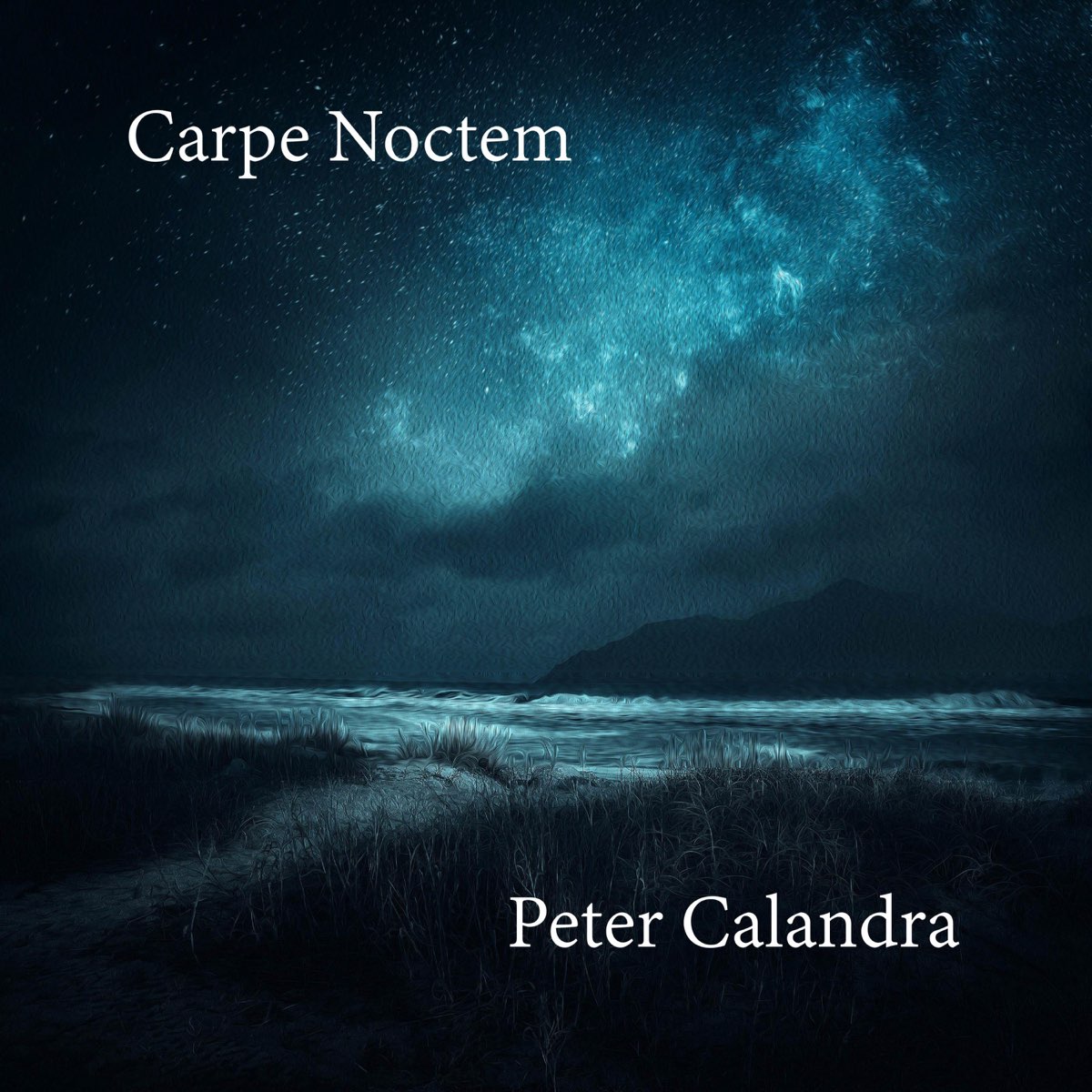 Проект carpe noctem