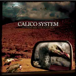 Outside Are the Vultures by Calico System album reviews, ratings, credits