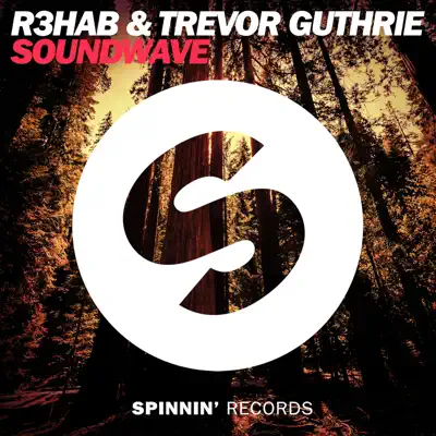 Soundwave (Extended Mix) - Single - Trevor Guthrie