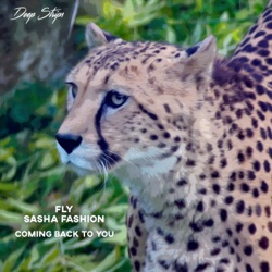 Fly & Sasha Fashion - No Love