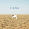 Signals - Single, 2017