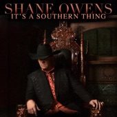 It's a Southern Thing - EP artwork