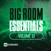 Big Room Essentials, Vol. 13