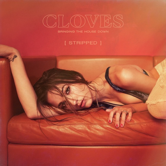 Cover artwork for Bringing the House Down