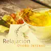 Relajación Otoño Intenso - Energía Positiva, Cura el Insomnio, Otoño Chill Out, Zen Serenidad, Spa & Masaje album lyrics, reviews, download