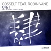 U & I (feat. Robin Vane) - Single