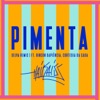 Pimenta (feat. Rincon Sapiência & Cortesiadacasa) [Selva Remix] - Single, 2018