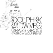 Dolphin Midwives - Grass Grow (Patricia Wolf Remix)