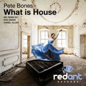What is House (Roe Deers Remix) artwork