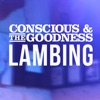 Lambing - Single