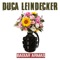 Toda Verdade (feat. Shana Müller) - Duca Leindecker lyrics