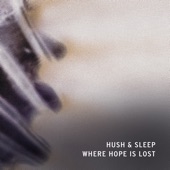 Where Hope Is Lost artwork