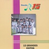 Banda R-15 - Arreando la Mula