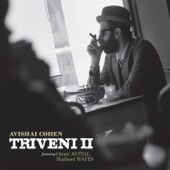 Triveni II (feat. Nasheet Waits & Omer Avital) artwork