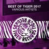 Best of Tiger 2017, 2018
