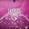 Skybeats 2 (Continuous DJ Mix) artwork