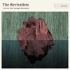 The Revivalists - Wish I Knew You