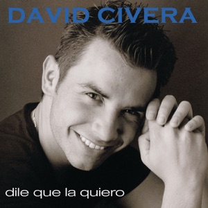 David Civera - Muevete - Line Dance Choreographer