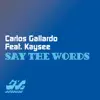 Say the Words (feat. Kaysee) album lyrics, reviews, download