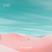 Saib - Believe In Music