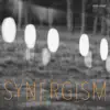 Synergism (feat. Adam Holzman & Alex Skolnick) - Single album lyrics, reviews, download