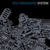 Self Organising System