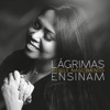 Lágrimas Ensinam, 2017