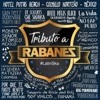 Latin Ska: Tributo a Rabanes, Vol. 2