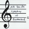 Symphony of Brotherhood - Single