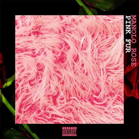 Cover artwork for Pink Fur