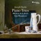 Piano Trio in C Major, Hob. XV:21: III. Finale. Presto artwork