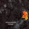 Vranjanske Pesme - EP