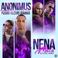 Nena Mala (Remix) [feat. Pusho, Juanka & Alexio] - Single by Anonimus album reviews, ratings, credits