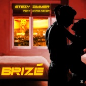 Brizé (feat. Chris Asher) artwork