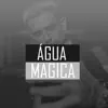 Stream & download Água Magica (feat. Menor Enzo) - Single