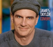James Taylor: Covers artwork