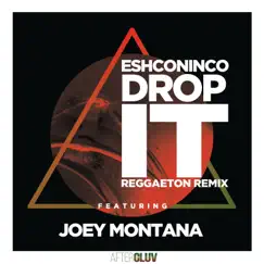 Drop It (feat. Joey Montana) [Reggaeton Remix] Song Lyrics