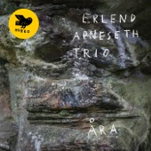 Erlend Apneseth trio - Tundra