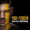 Pido Perdón - Single