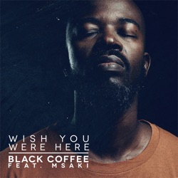 Black Coffee - Wish You Were Here (feat. Msaki)