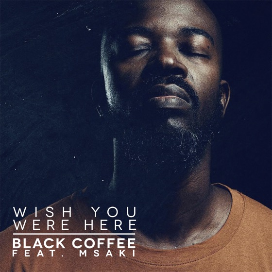 Cover artwork for Wish You Were Here (feat. Msaki)