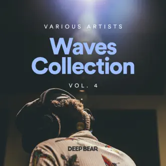 Waves Collection, Vol. 4 by Various Artists album reviews, ratings, credits