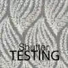 Testing Chamber - Single album lyrics, reviews, download