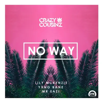 No Way (feat. Lily Mckenzie) - Single - Mr Eazi