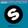 Runaway (feat. Amanda Wilson) [The Remixes] - Single, 2011